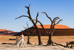 Namibia_April_2025 (79/79)
